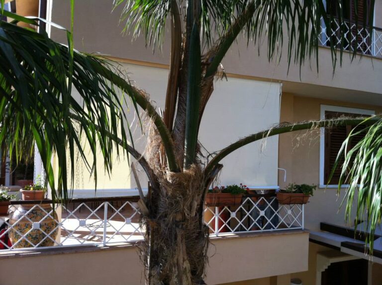 Come proteggere la tua casa dal caldo estivo con tende da sole e pergole tende da sole contro caldo